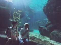 -暹罗海洋世界