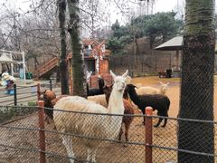 -大连森林动物园