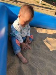 -萌宠亲子动物乐园(槐房万达店)