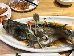 清蒸石斑鱼-南海渔家•海鲜•正宗海南菜(海棠湾店)