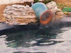 -东海森林温泉