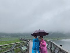 景点-腾冲北海湿地