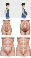 点击看大图 -Dr.林醫生产后修复·配方产康店(南京大厂店)