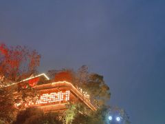 -巴倒烫陆派重庆火锅(南山店)