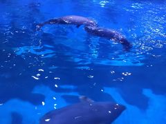 -海合安青岛极地海洋公园