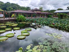 -广州莲花山旅游区