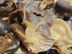 -龍歌自助小火锅(李沧丽达店)