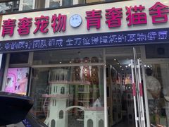 -青奢宠物·青奢猫舍