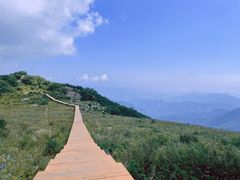 -白草畔自然风景区