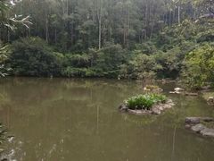 景点-水濂山森林公园