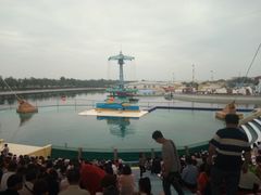 -秦皇岛乐岛海洋王国