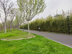 -上海山野camping·户外天幕烧烤·团建拓展营地