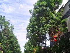 -上王村王家三合院农家乐