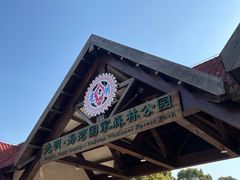 -上海海湾国家森林公园