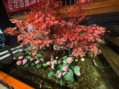 -真定郝家排骨(正定县总店)