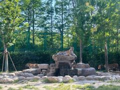 -上海野生动物园