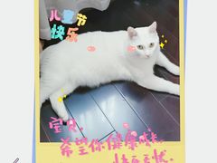 -宠颐生斯嘉宠物医院·急重症·心内科(谷阳北路分院)