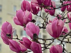 -杨高南路(地铁站)