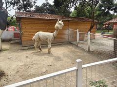 -国色天乡三期陆地乐园