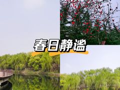 -西安汉城湖景区