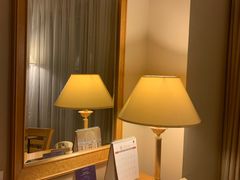 -南京维景国际大酒店(南京博物院店)