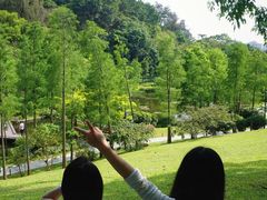 -云溪植物园