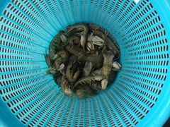 -钱大妈海鲜饭店(保利林语店)