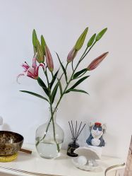 -美肤盾祛痘·问题肌头疗管理中心