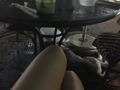 抹茶星冰乐-星巴克臻选(广州沙面店)