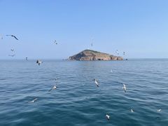 -海驴岛(荣成市)