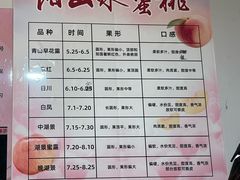 -老袁家蜜桃农场·阳山水蜜桃