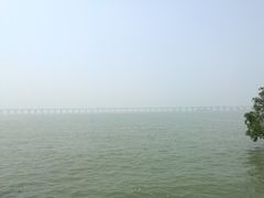 -宝安西湾红树林湿地公园