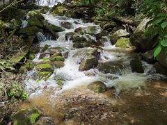 -青峰峡国家森林公园