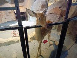 -酷嗒动物文化乐园(cutezoo西溪乐天城店)