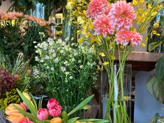 -自由生长植物工作室(深港花卉中心店)