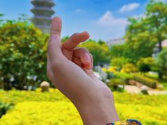 -南普陀寺