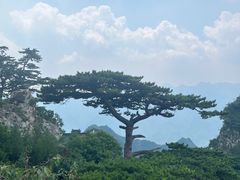 -圣莲山风景区