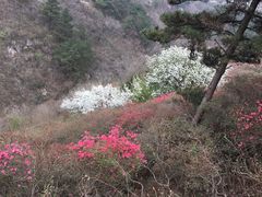 -木兰云雾山