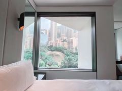 -尼依格罗香港美利酒店