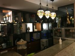 -广州萨谛艾扬格瑜伽中心