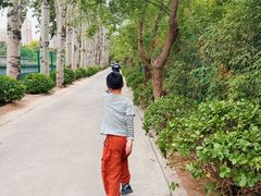 -太阳宫公园