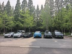 -黄海国家森林公园