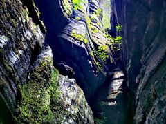 -梭布垭石林景区