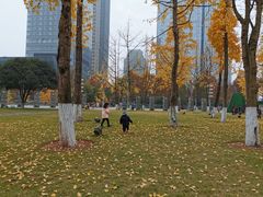 -重庆市江北嘴中央商务区中央公园