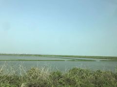 -南沙十九涌渔人码头-南门