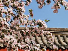 -北京鲁迅博物馆(北京新文化运动纪念馆鲁博馆区)