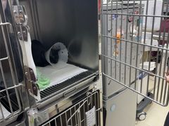 -宠福鑫康馨动物医院·骨科·眼科