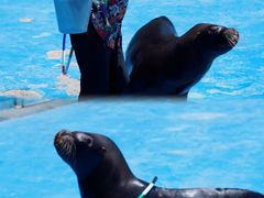 -华夏文旅海洋公园