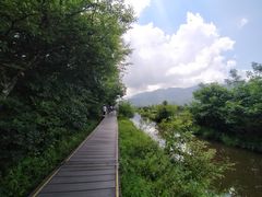 -大九湖