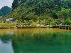 -靖西鹅泉风景区